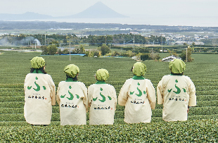 福誉香茶房 -日本茶・緑茶・お茶-鹿児島県枕崎市